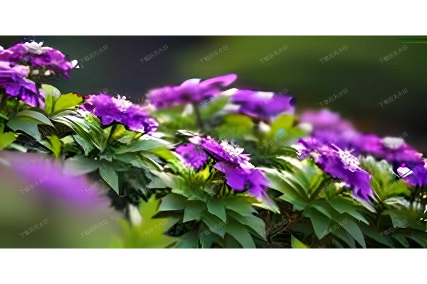 杭州按摩十八式，养生保健必备，一招一式皆养生